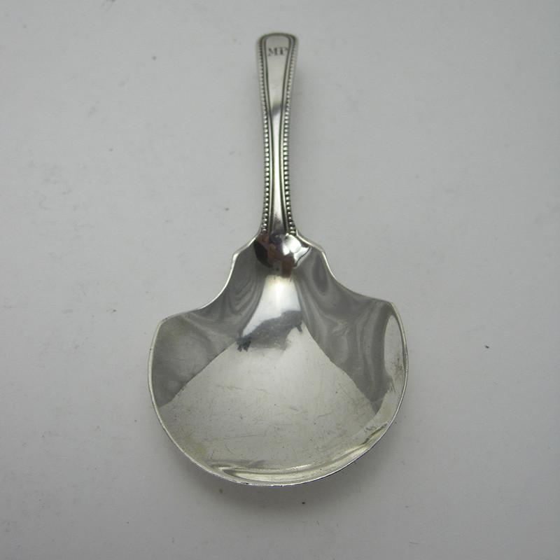 Charming Georgian Silver Tea Caddy Spoon (1794)