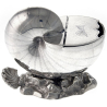 Victorian Nautilus Shell Silver Plate Spoon Warmer