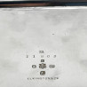 Rectangular Victorian Elkington & Co Butter or Sardine Dish