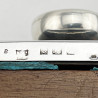 Edwardian Tortoiseshell and Sterling Silver Desk Blotter