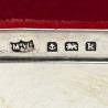 Edwardian Sterling Silver and Tortoiseshell Jewellery or Trinket Box