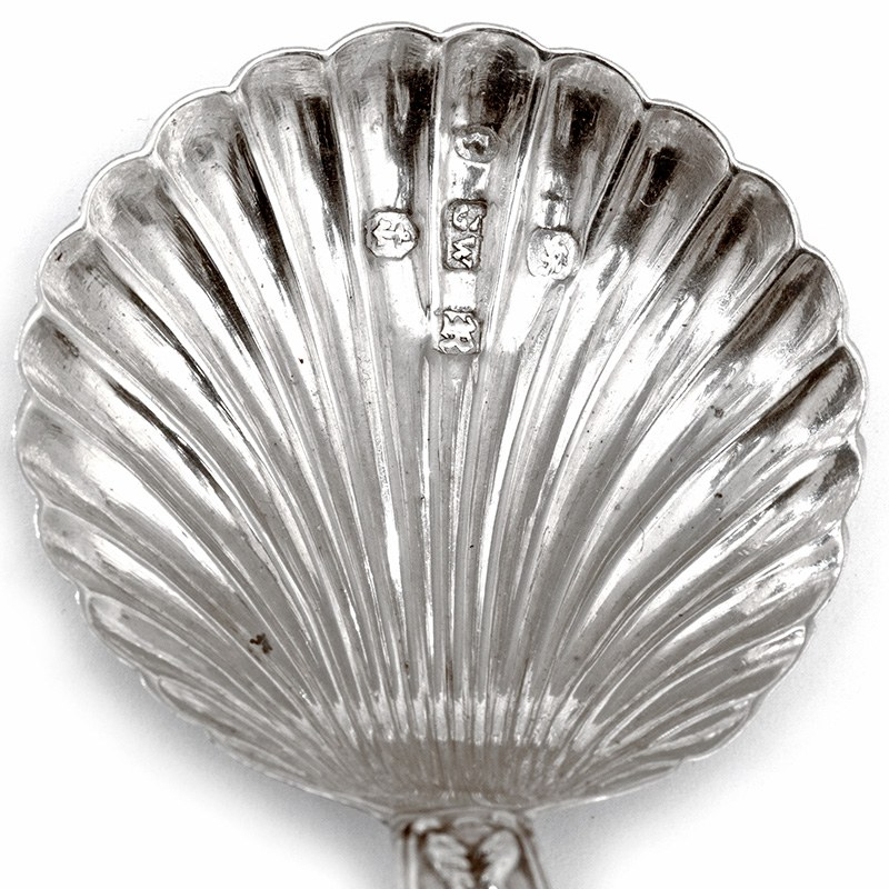 Circular Tea Spoon Victorian Silver Tea Caddy Spoon with a Scalloped Fluted Bowl (1840)